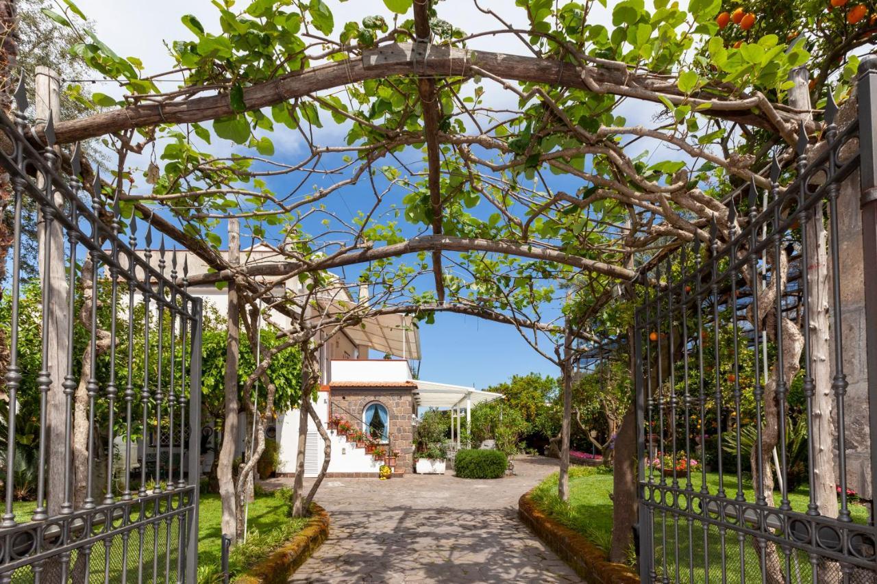 פיאנו די סורנטו Villa Maresca B&B מראה חיצוני תמונה
