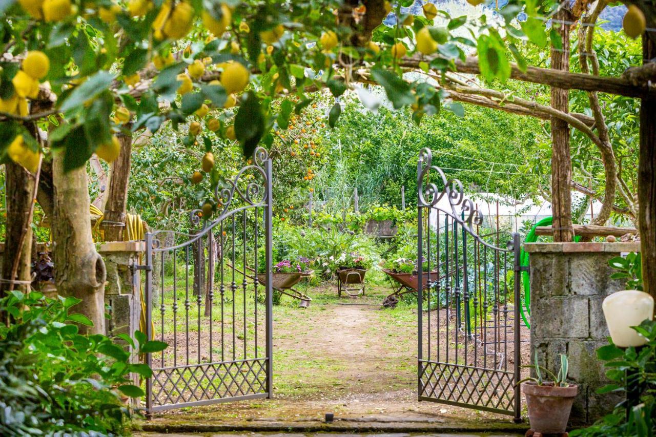 פיאנו די סורנטו Villa Maresca B&B מראה חיצוני תמונה