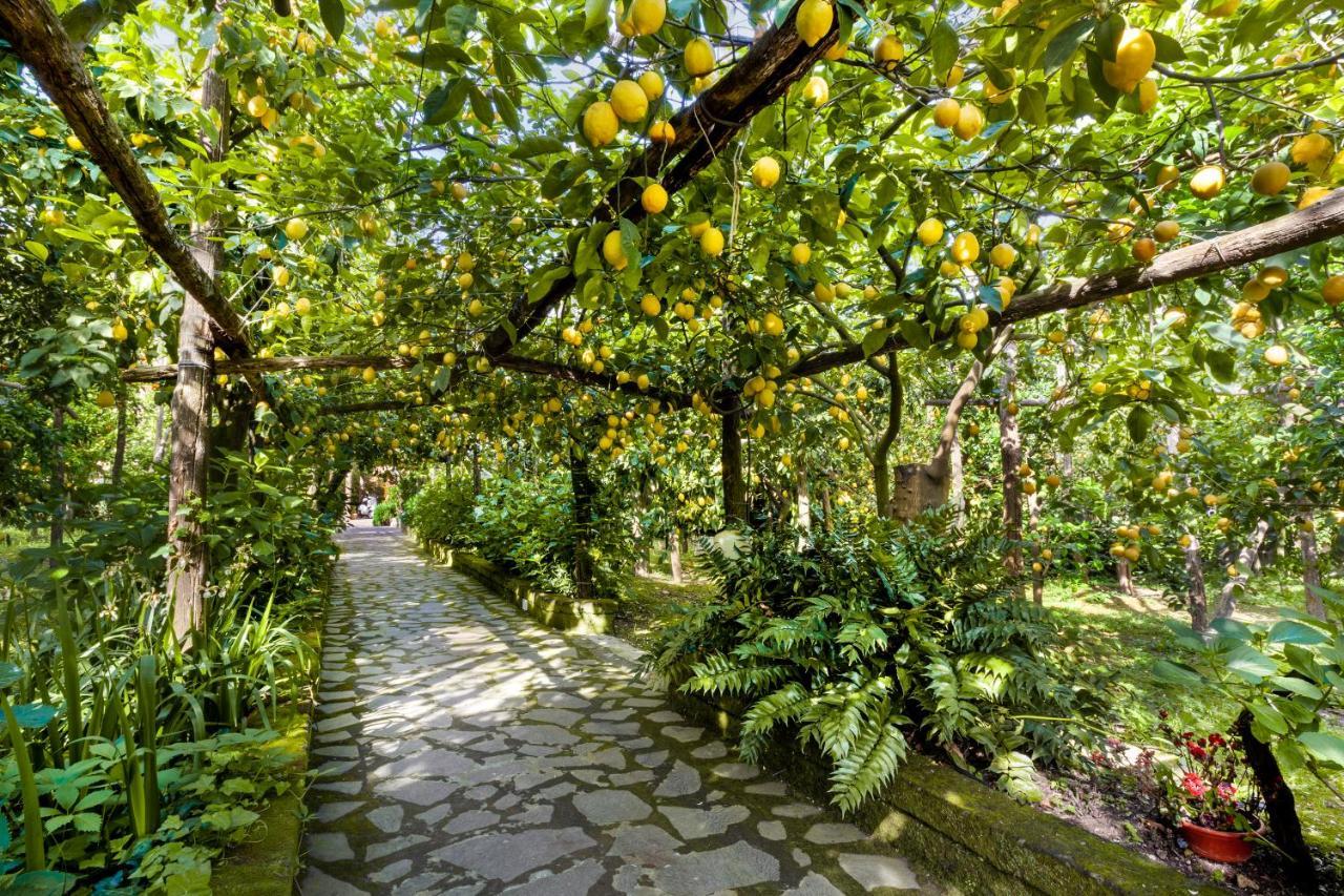 פיאנו די סורנטו Villa Maresca B&B מראה חיצוני תמונה