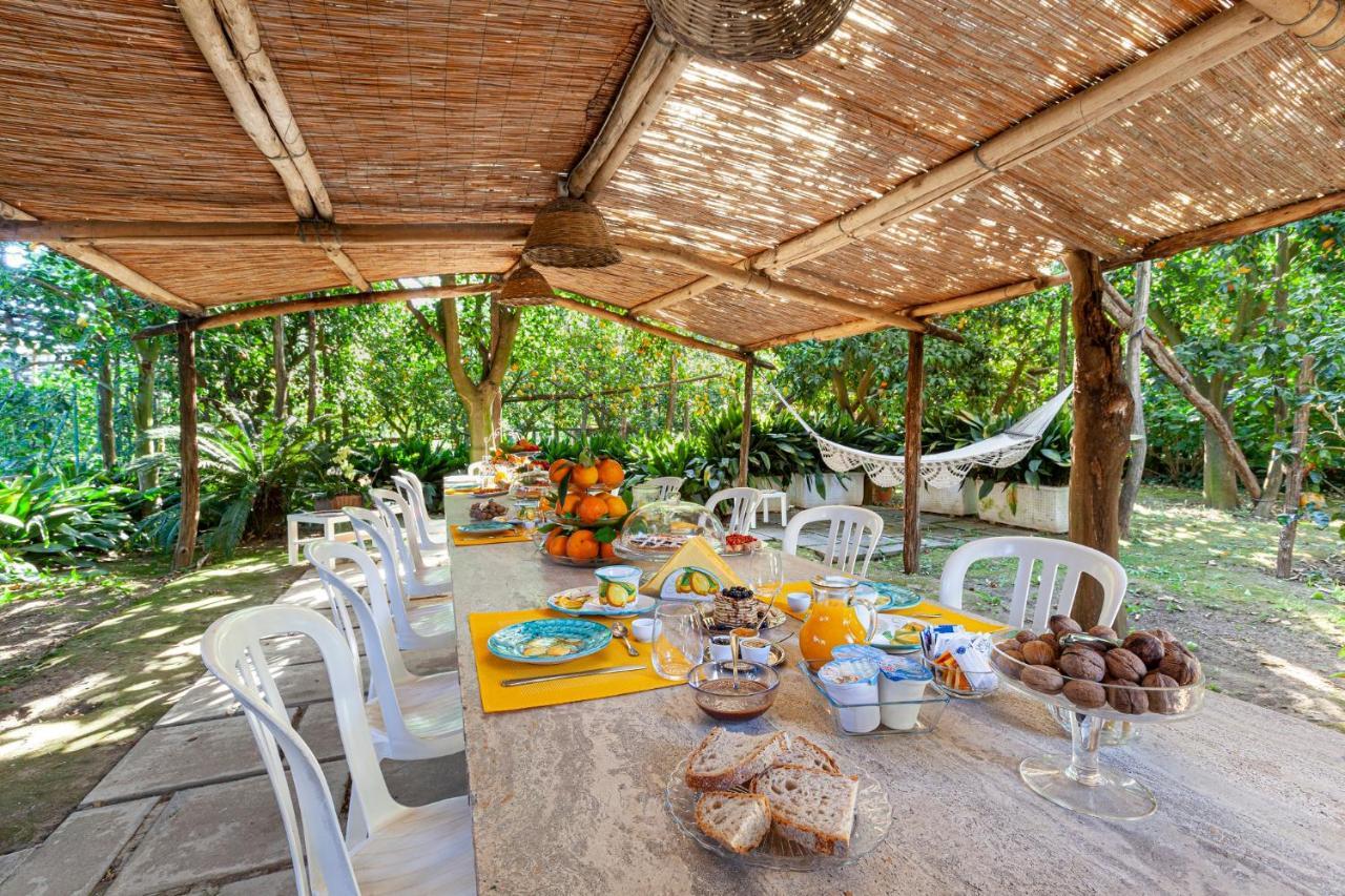 פיאנו די סורנטו Villa Maresca B&B מראה חיצוני תמונה